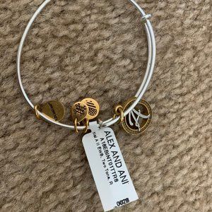 Alex and Ani Bracelet